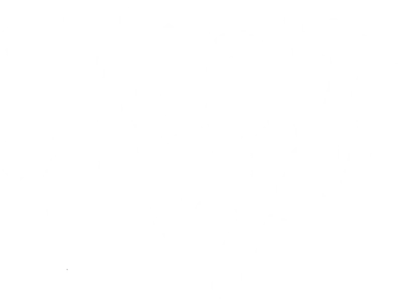 Naughtyboys logo